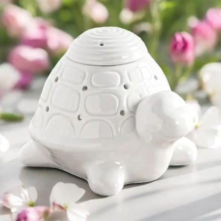 brule-parfum-tortue