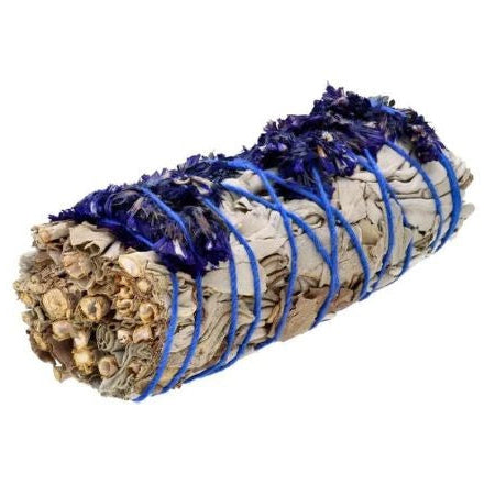 Fagot Sauge blanche avec fleurs bleues 11cm