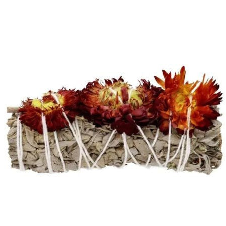 Fagot Sauge blanche avec fleurs siempreviva oranges 11cm